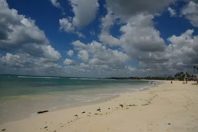 DSC_7655 (Large).JPG